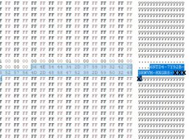 Windows key in Hexadecimal